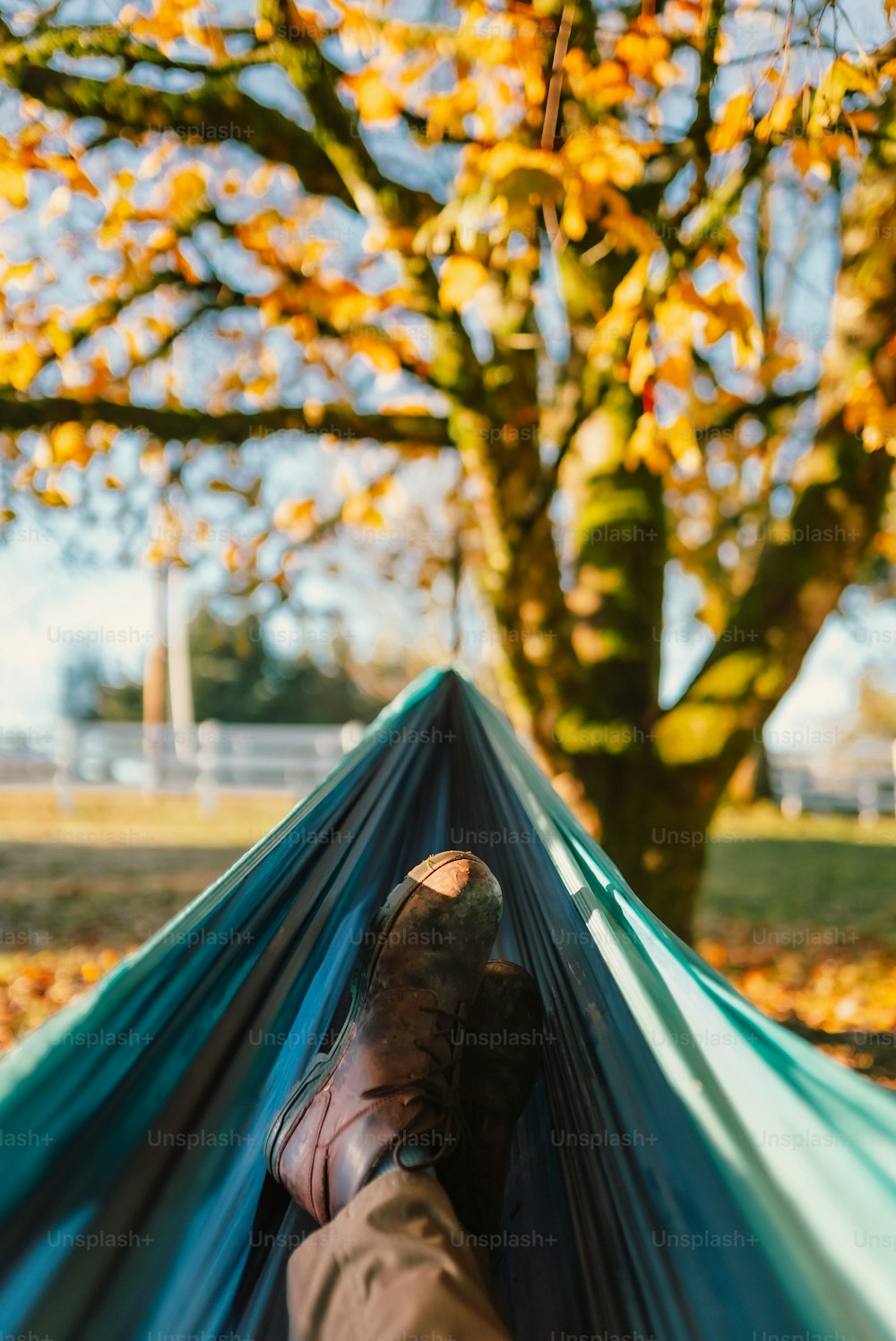 a person laying in a hammock under a tree