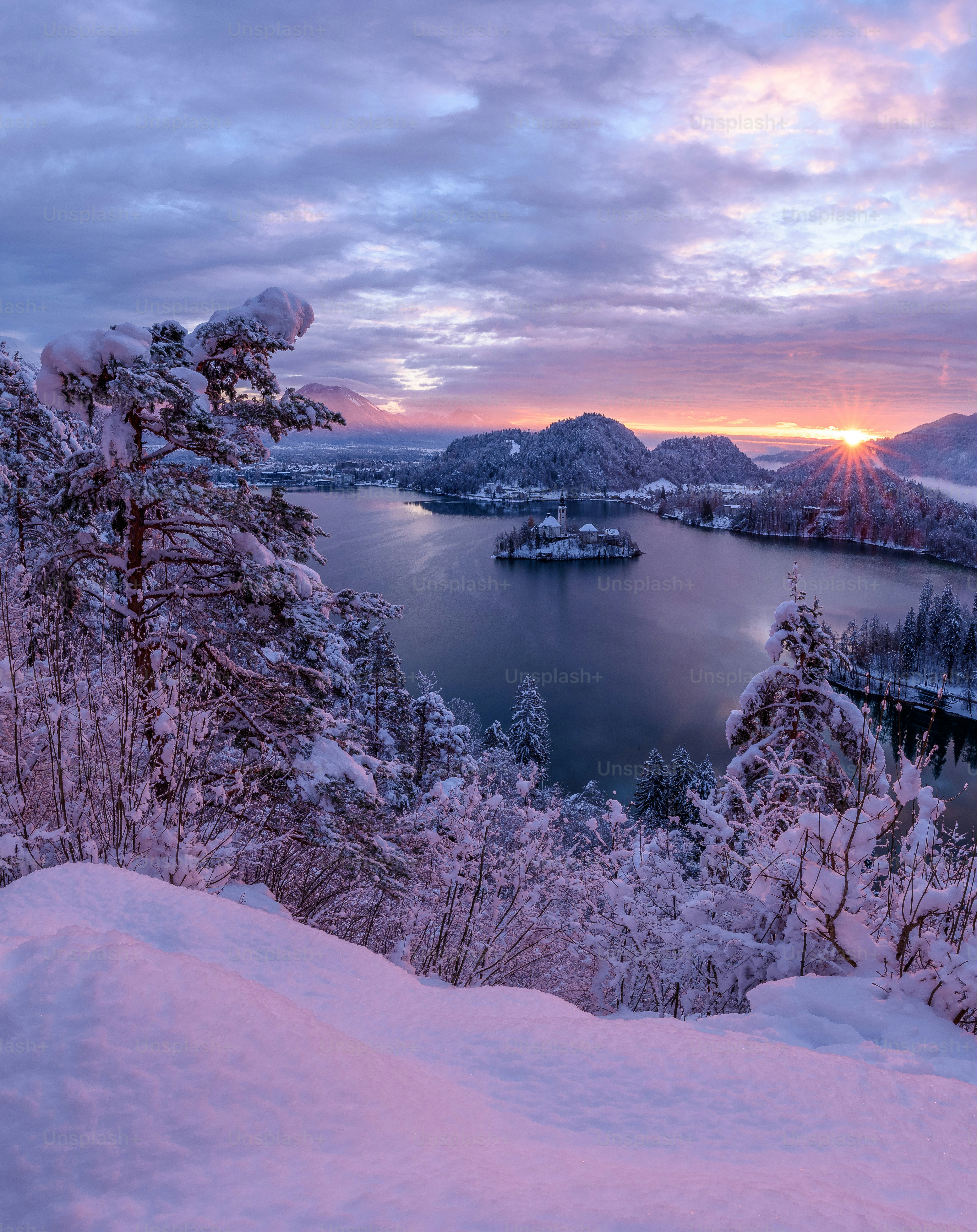 a view of a lake surrounded by snow covered trees