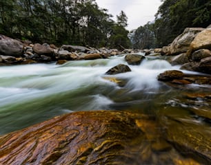 um rio que atravessa uma floresta cheia de rochas