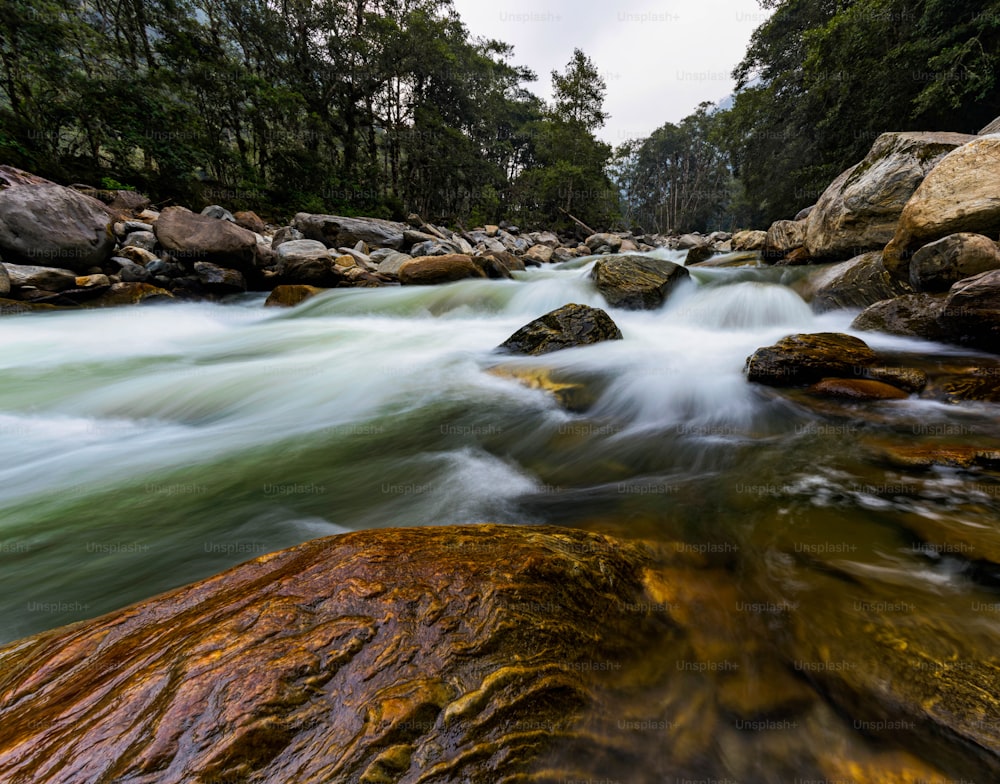 a river running through a forest filled with rocks