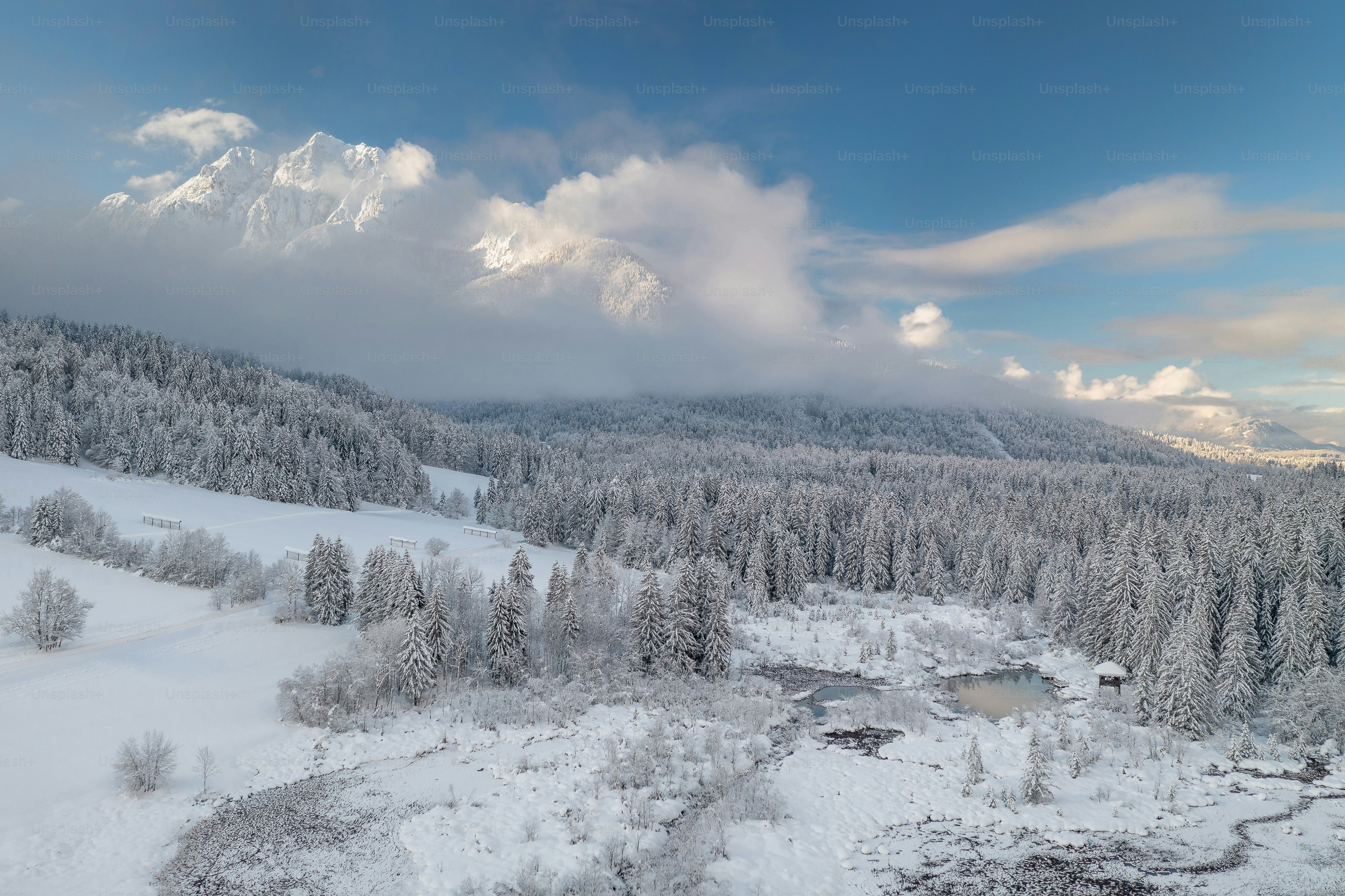 a snowy landscape with trees and mountains in the background