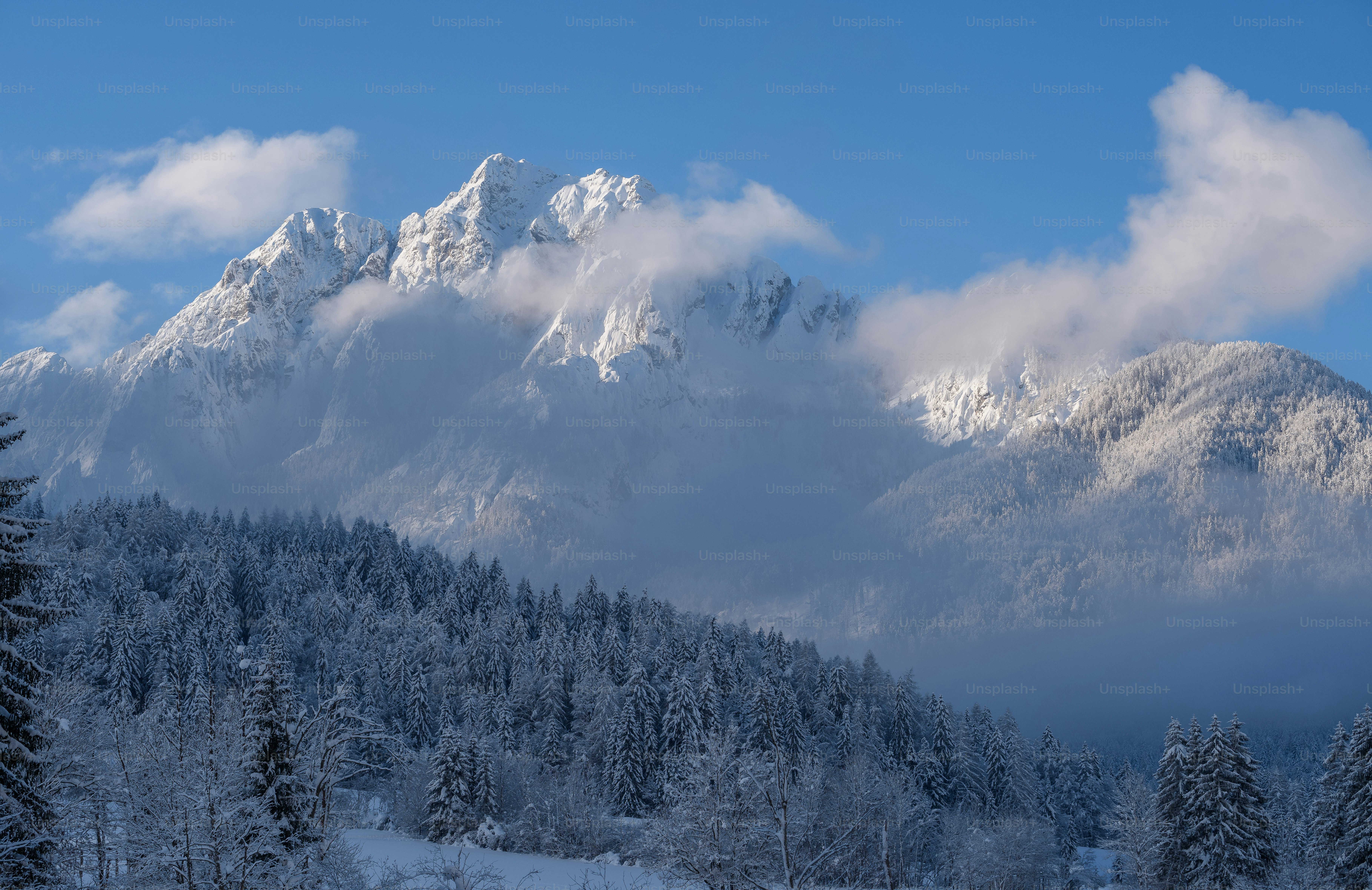 A snow covered mountain range with trees in the foreground photo ...