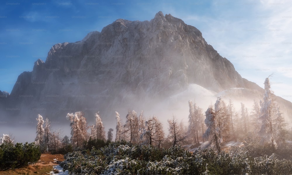 a mountain covered in snow and surrounded by trees