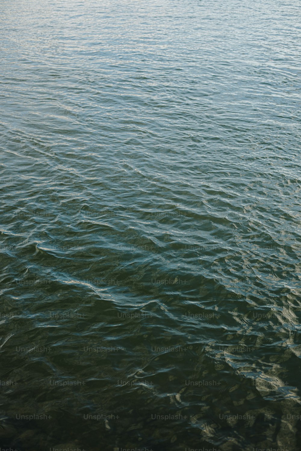 Ein Boot, das auf einem großen Gewässer schwimmt