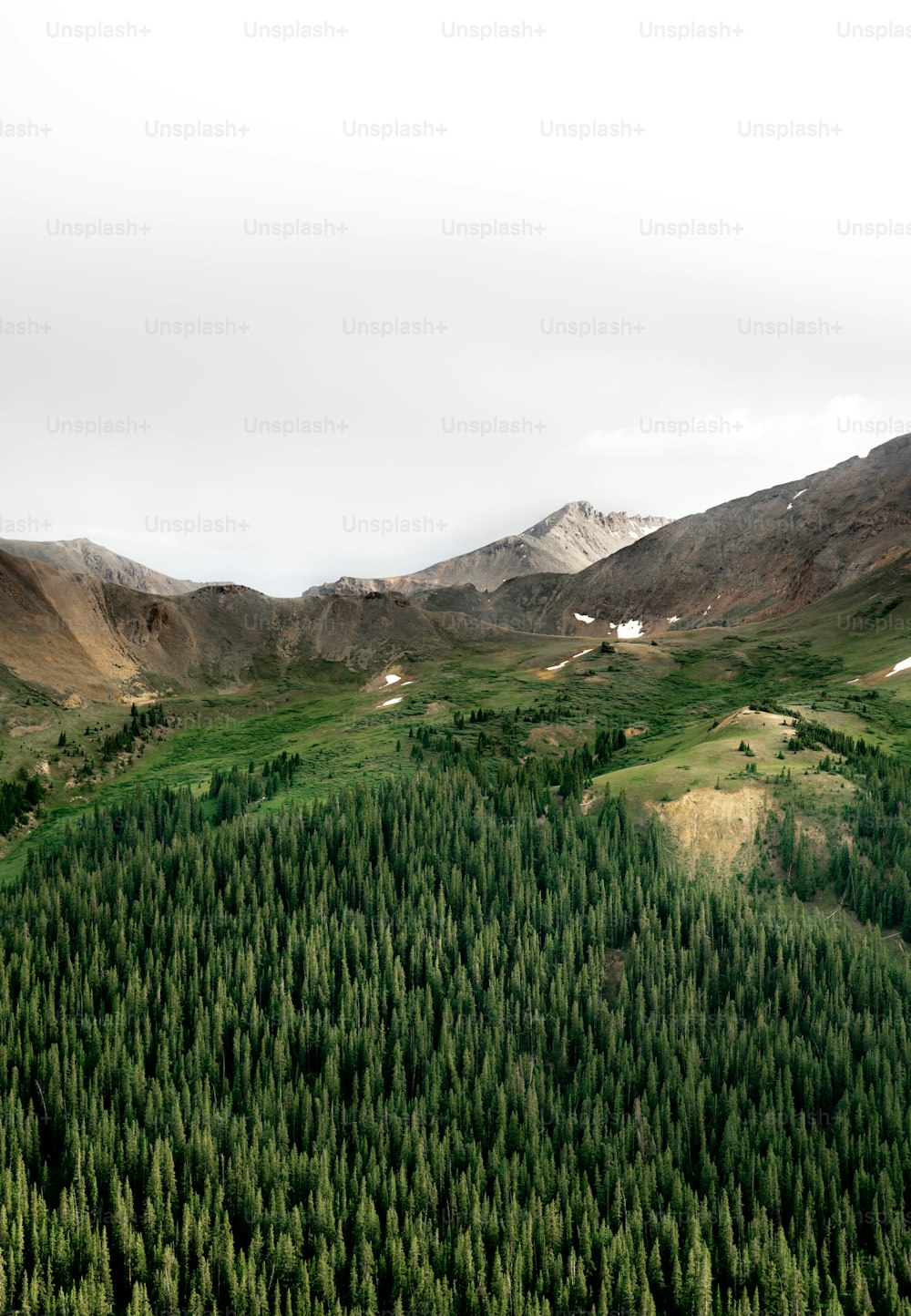 a view of a mountain range with trees in the foreground