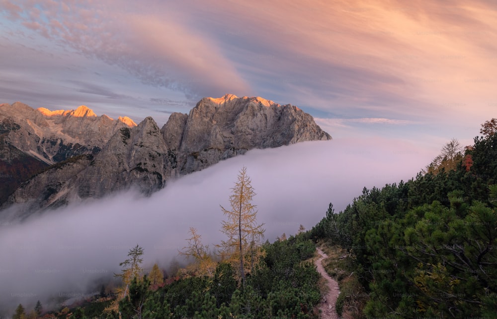 a view of a mountain covered in low lying clouds