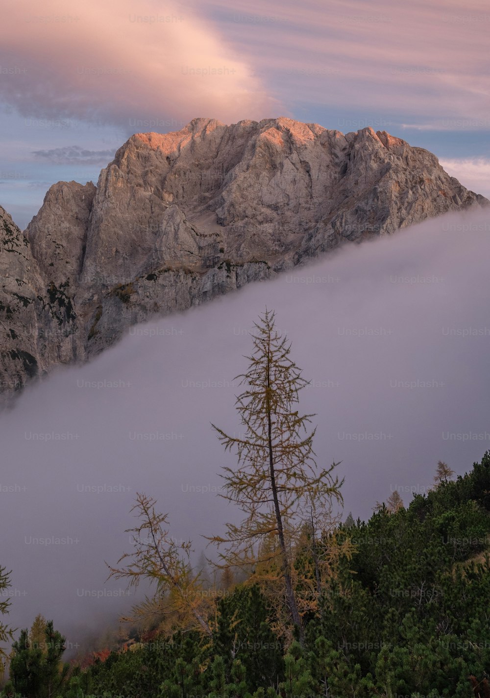 Una montagna nebbiosa con un albero in primo piano