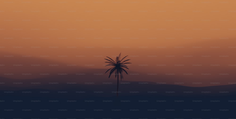 a lone palm tree in the middle of a desert