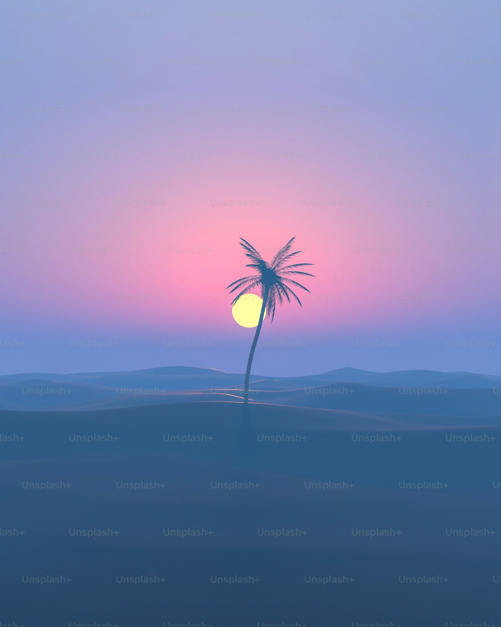 a palm tree in the middle of a desert