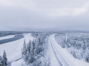 Une route au milieu d’une forêt enneigée