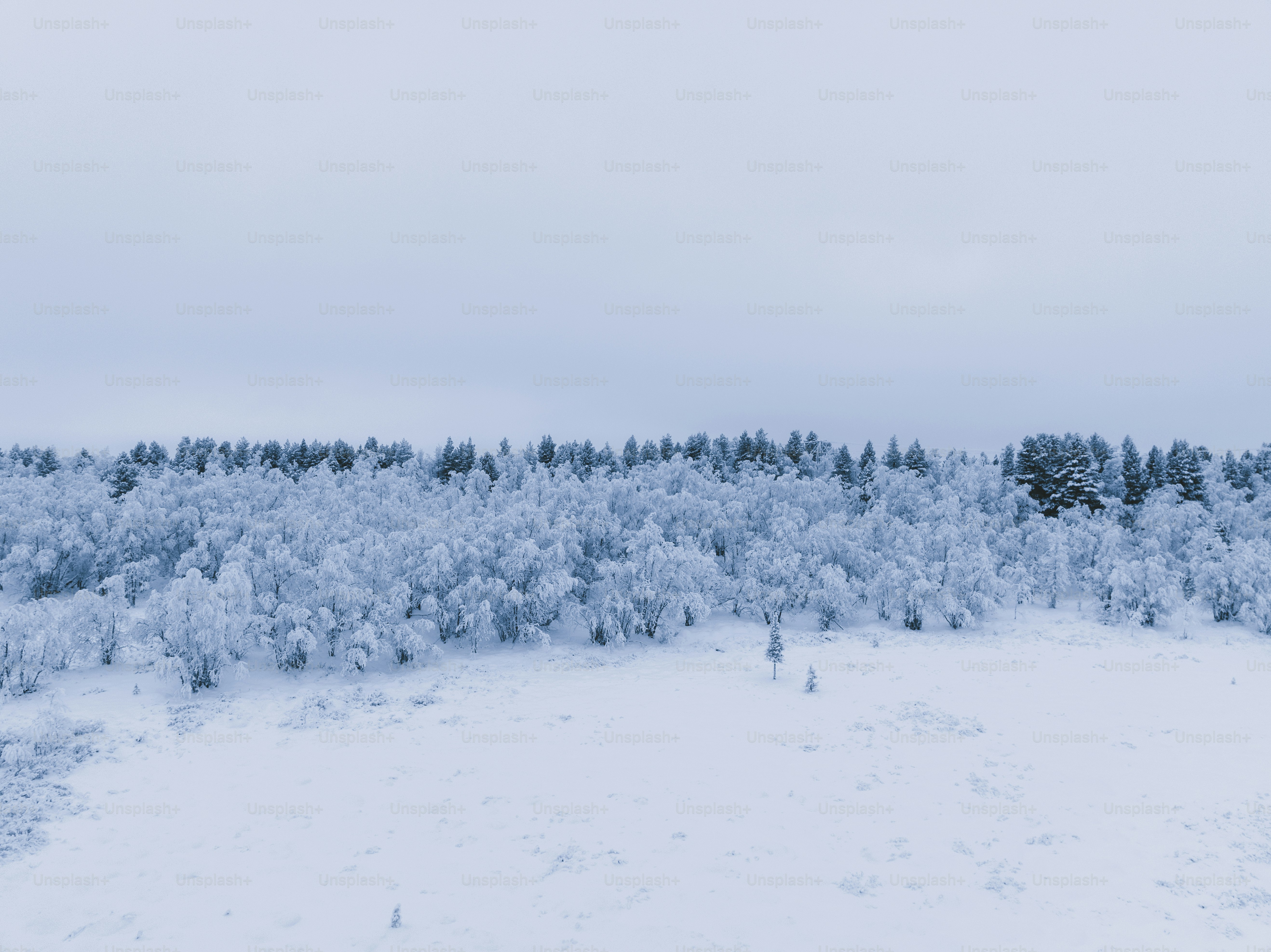 a snow covered field with trees in the background