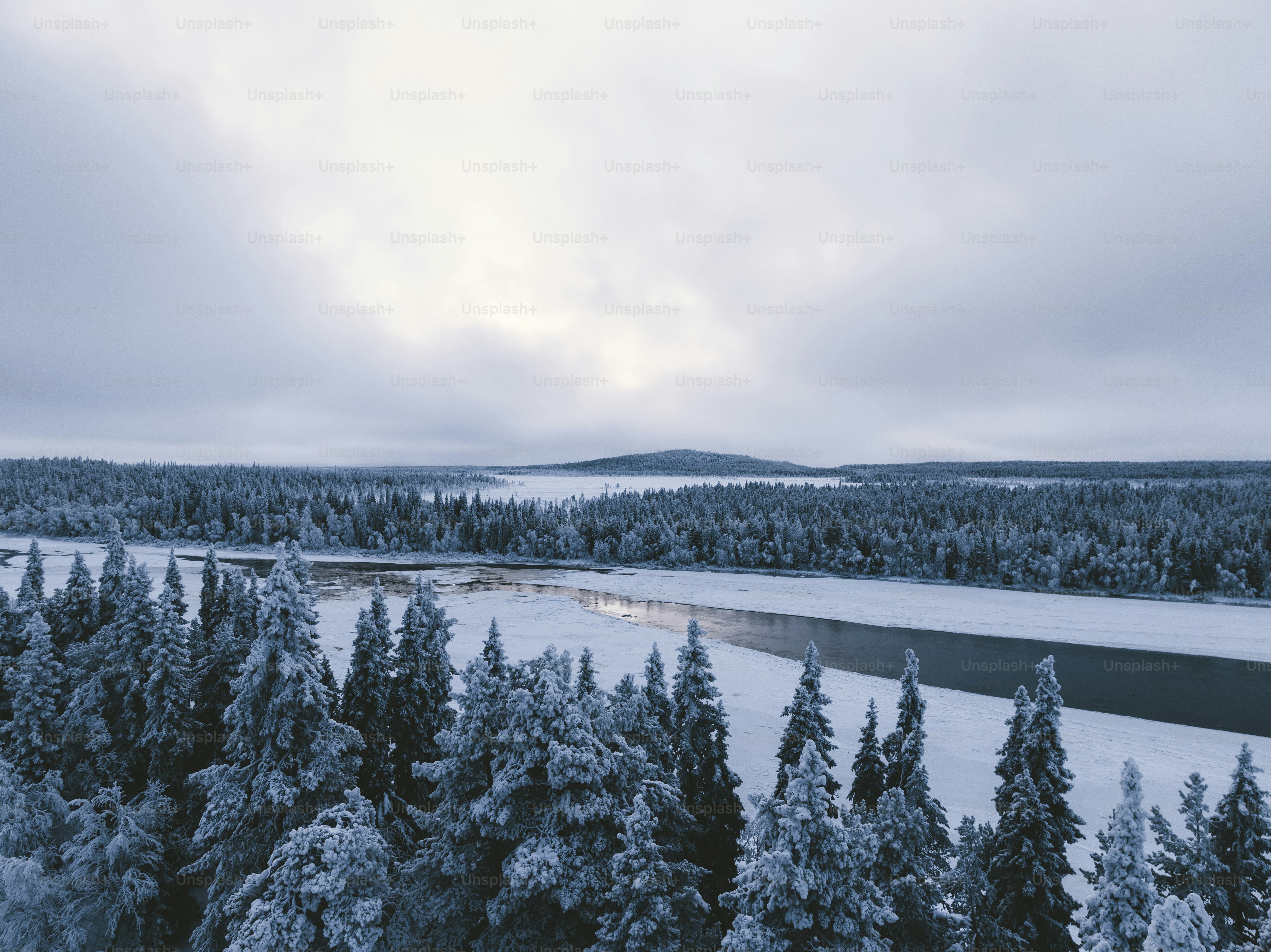 a river surrounded by trees covered in snow