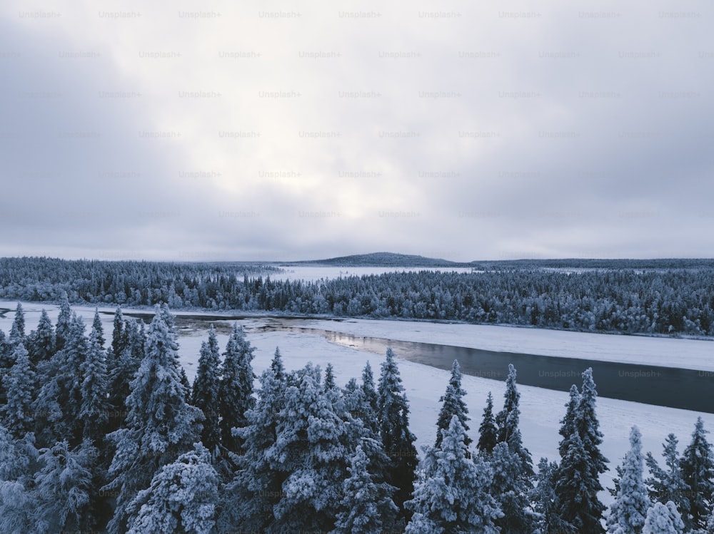 a river surrounded by trees covered in snow