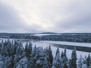 a river surrounded by trees covered in snow
