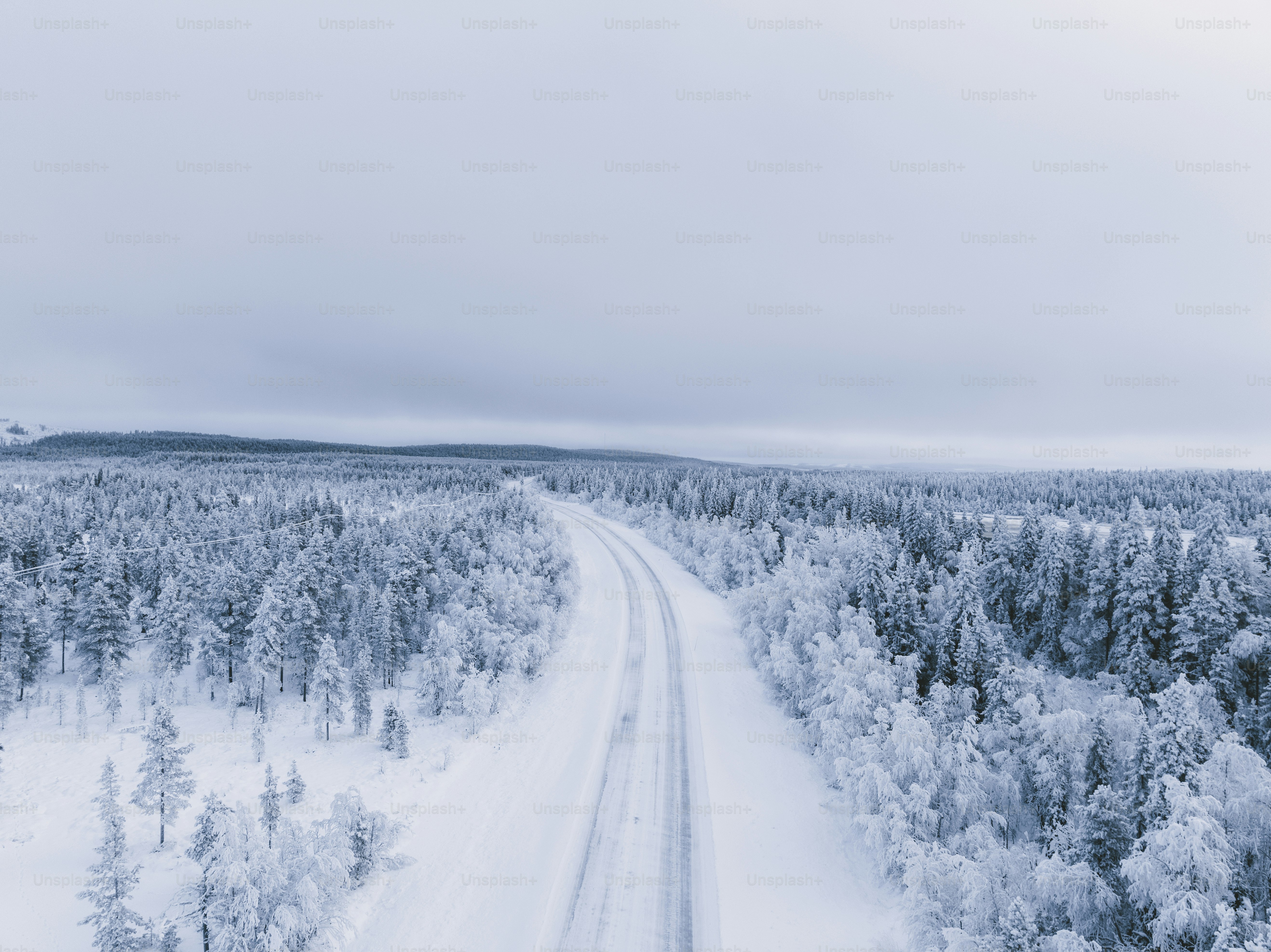 a road in the middle of a snowy forest