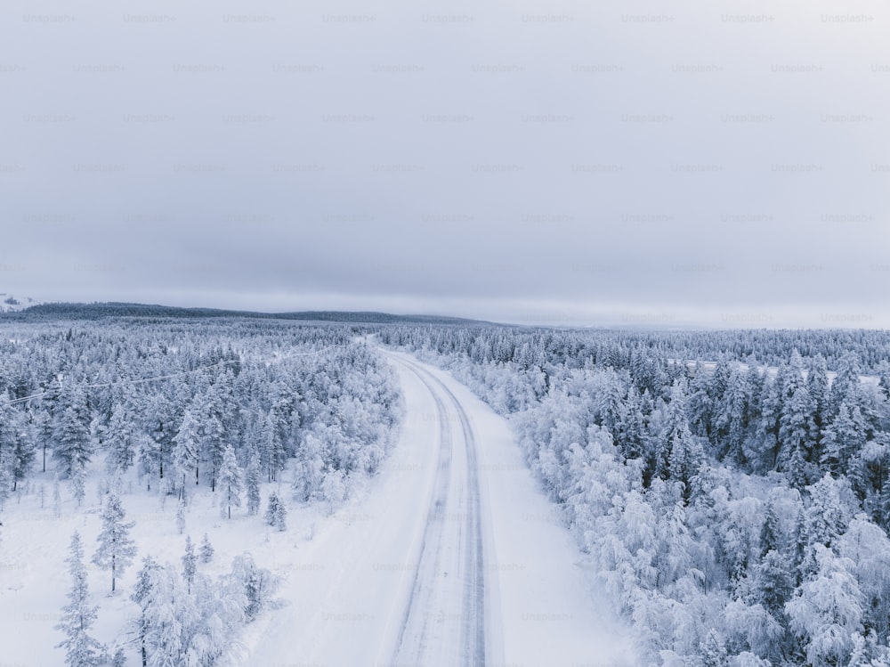 Une route au milieu d’une forêt enneigée