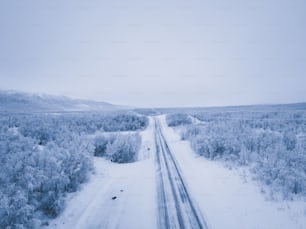 Uma estrada no meio de uma floresta nevada
