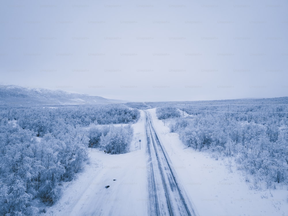 a road in the middle of a snowy forest