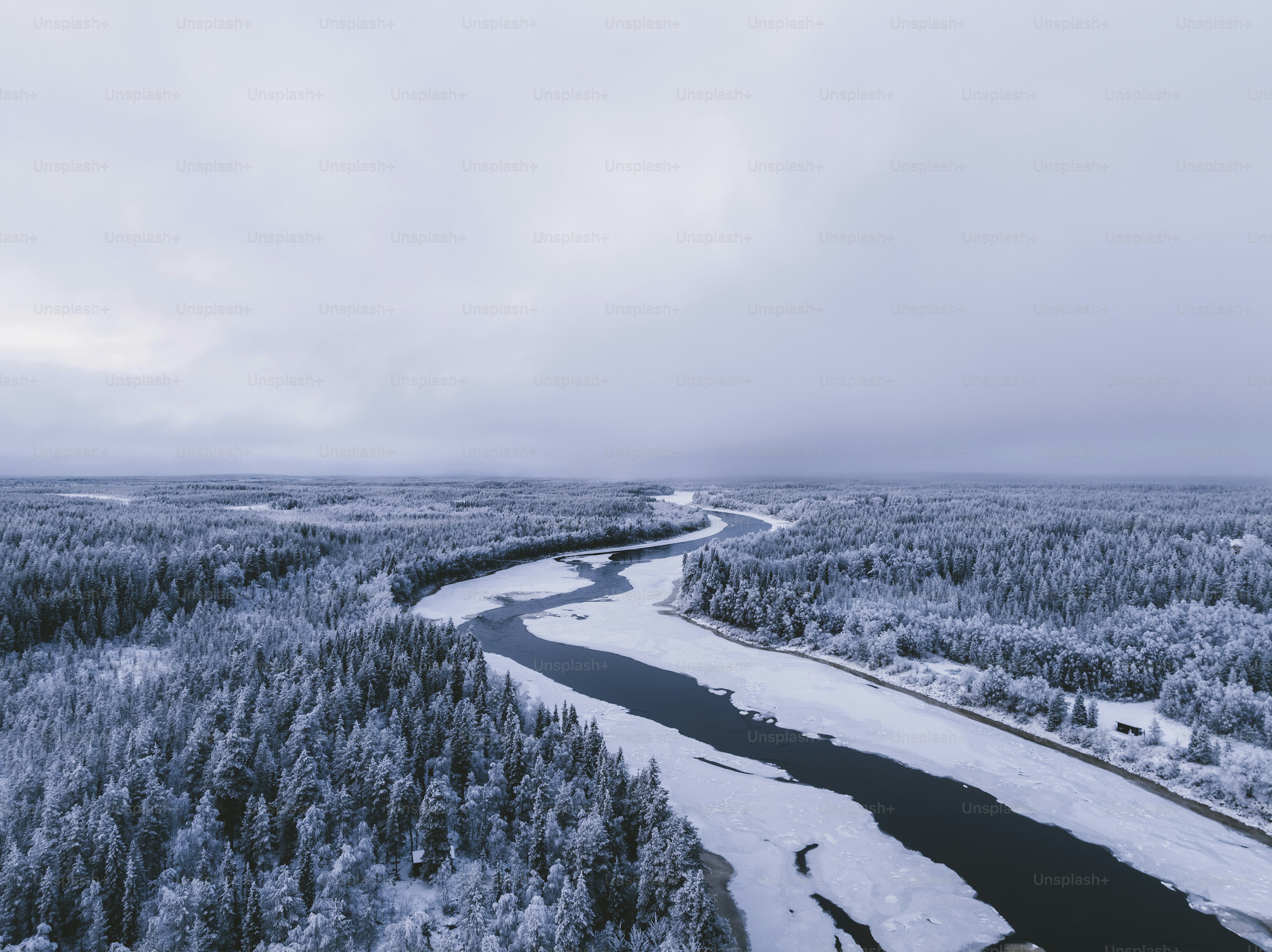 une rivière qui coule à travers une forêt enneigée