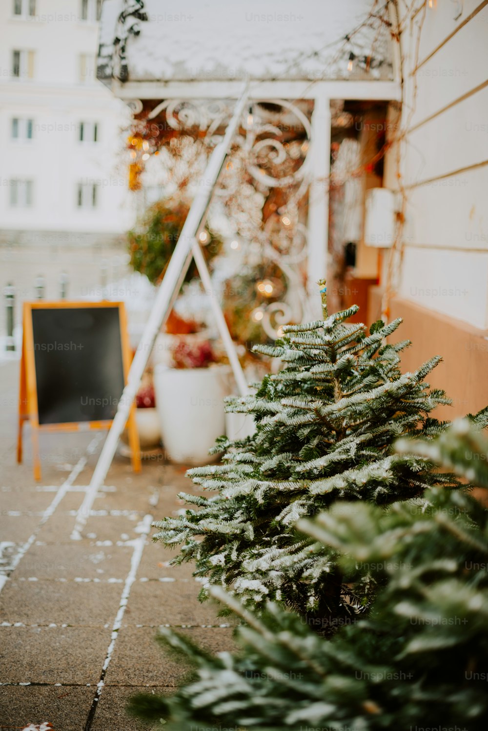 Uma pequena árvore de Natal sentada na lateral de um edifício
