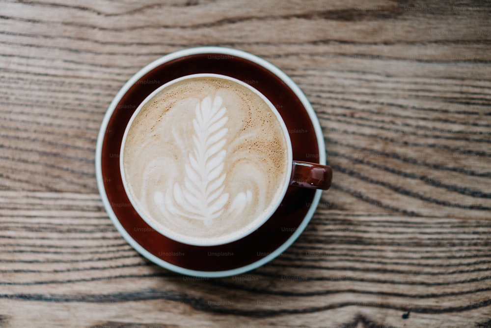 Capuchino Pictures  Download Free Images on Unsplash