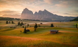 a field with a bench and trees in it with mountains in the background