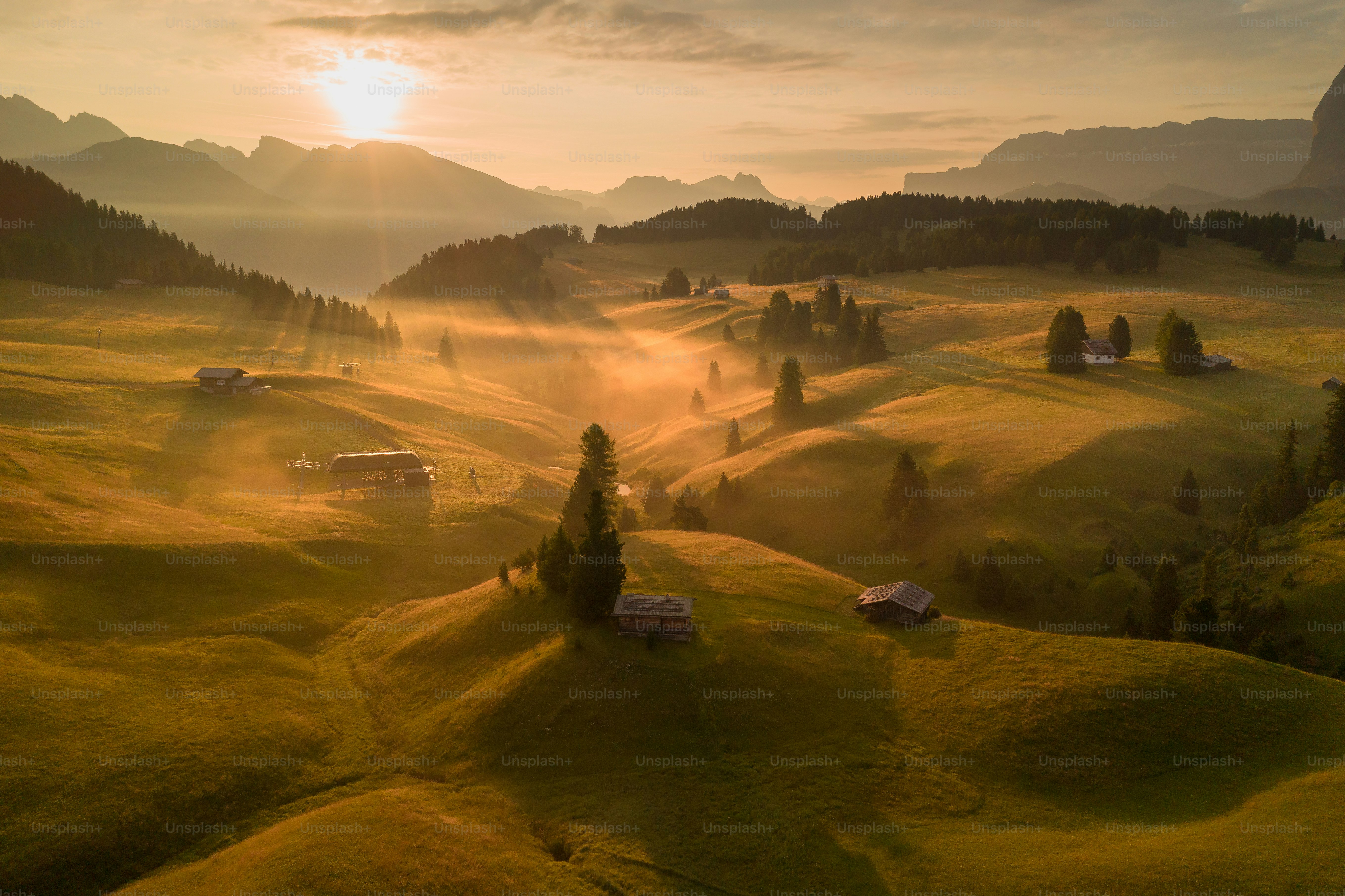 a landscape with trees and buildings