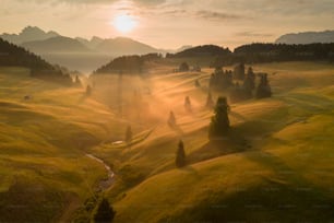 Un paisaje con árboles y colinas