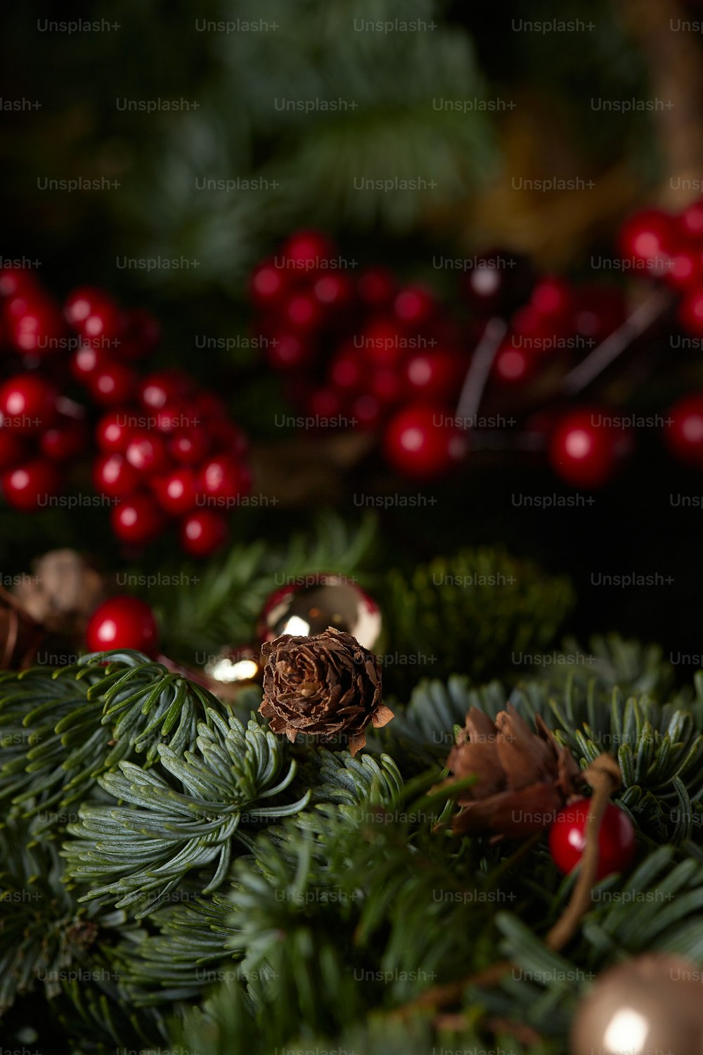 a pine tree with red berries