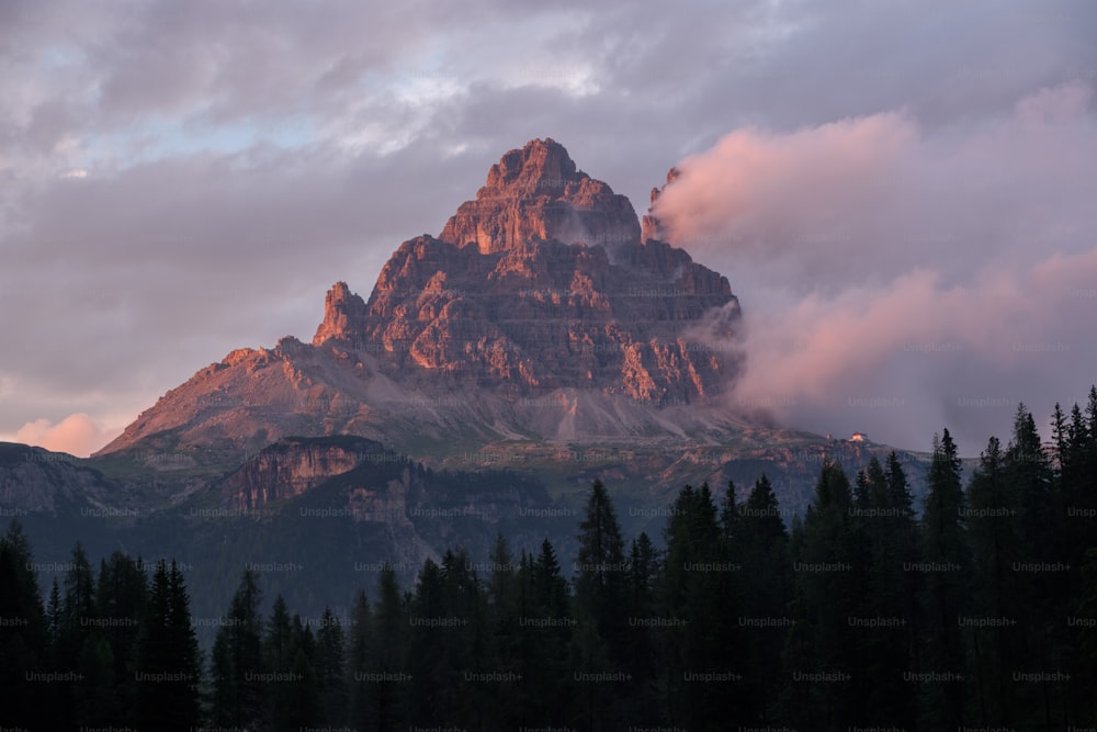 a mountain with trees below