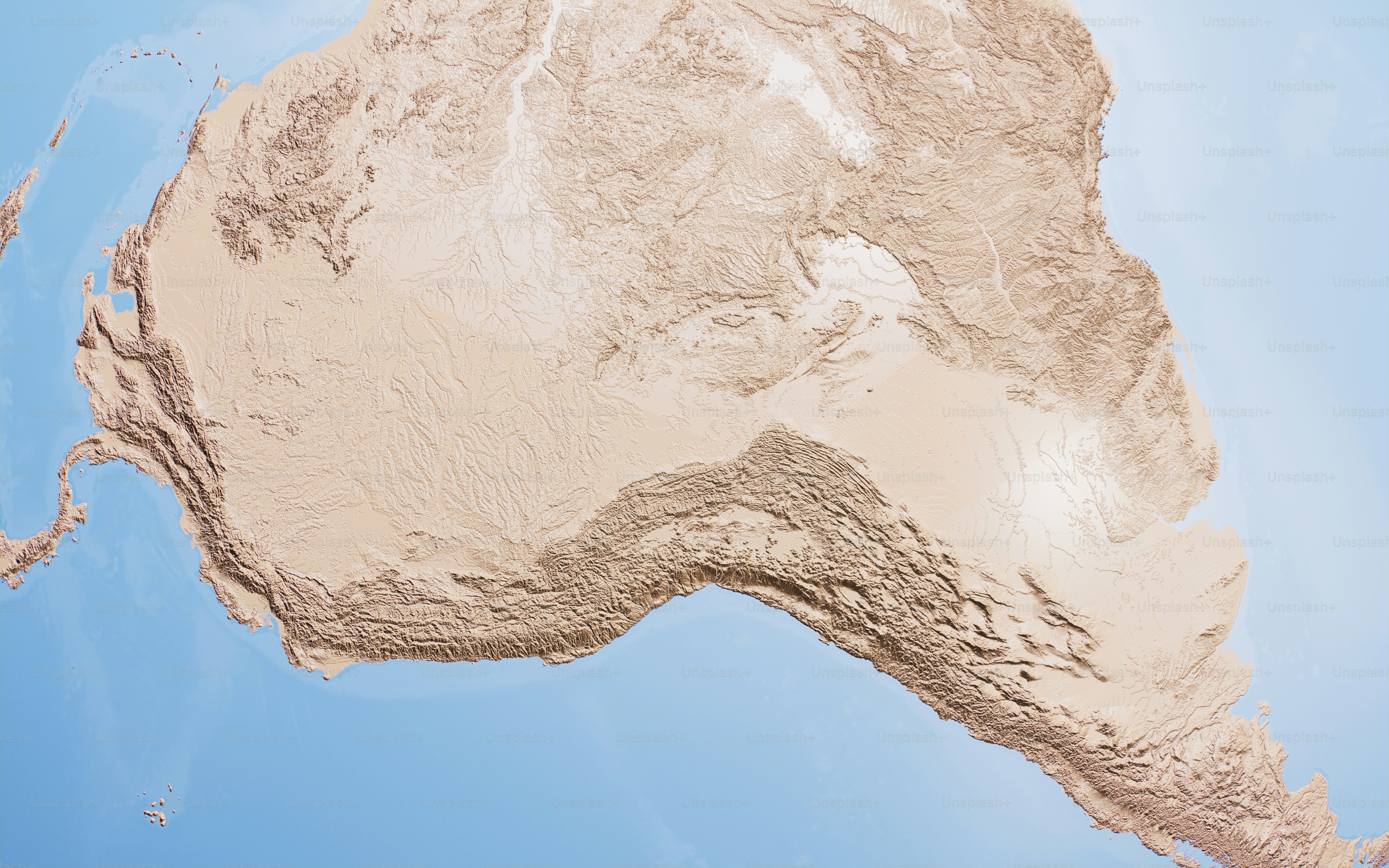 a tree with a large trunk