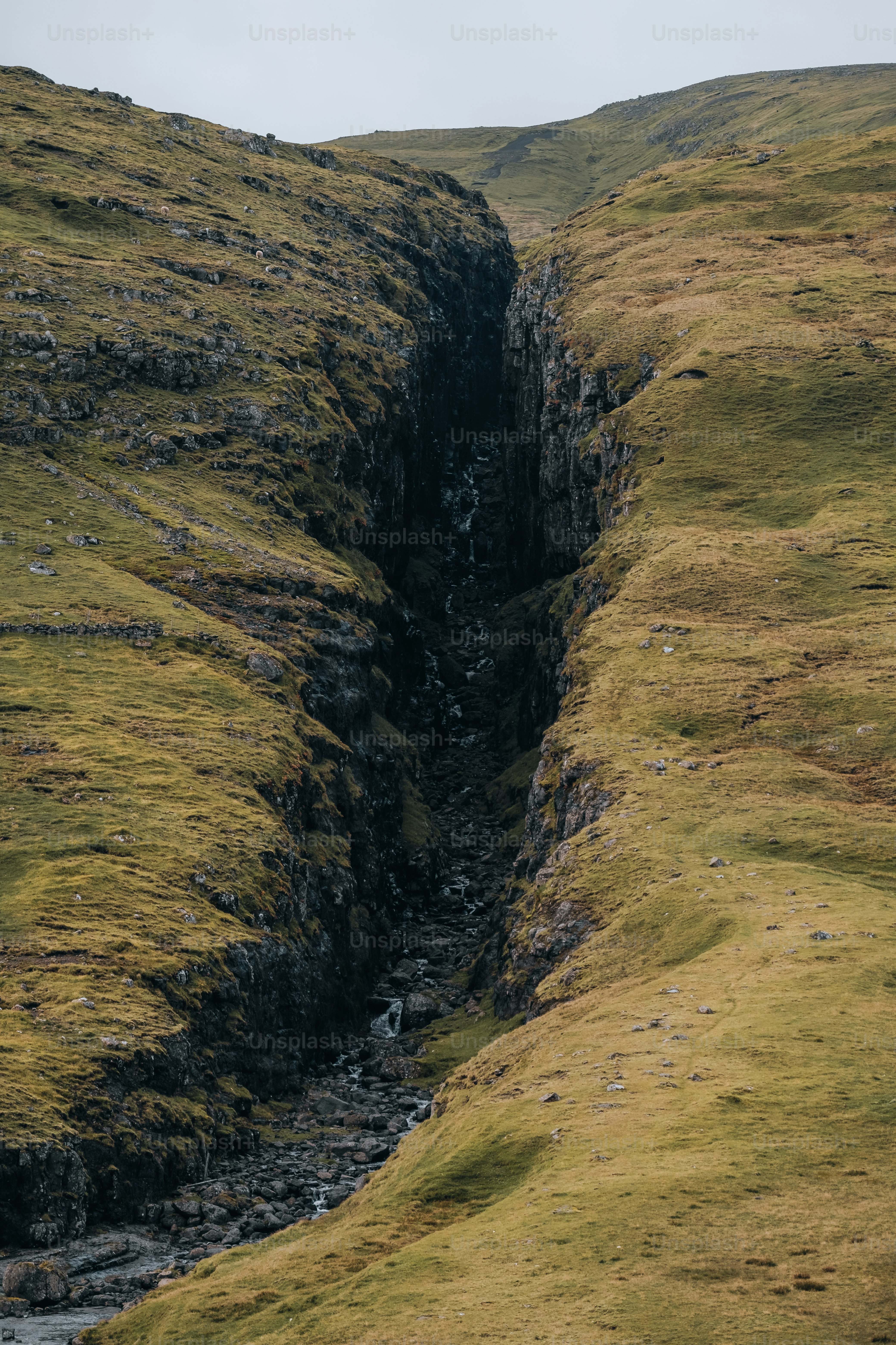 a rocky and grassy area