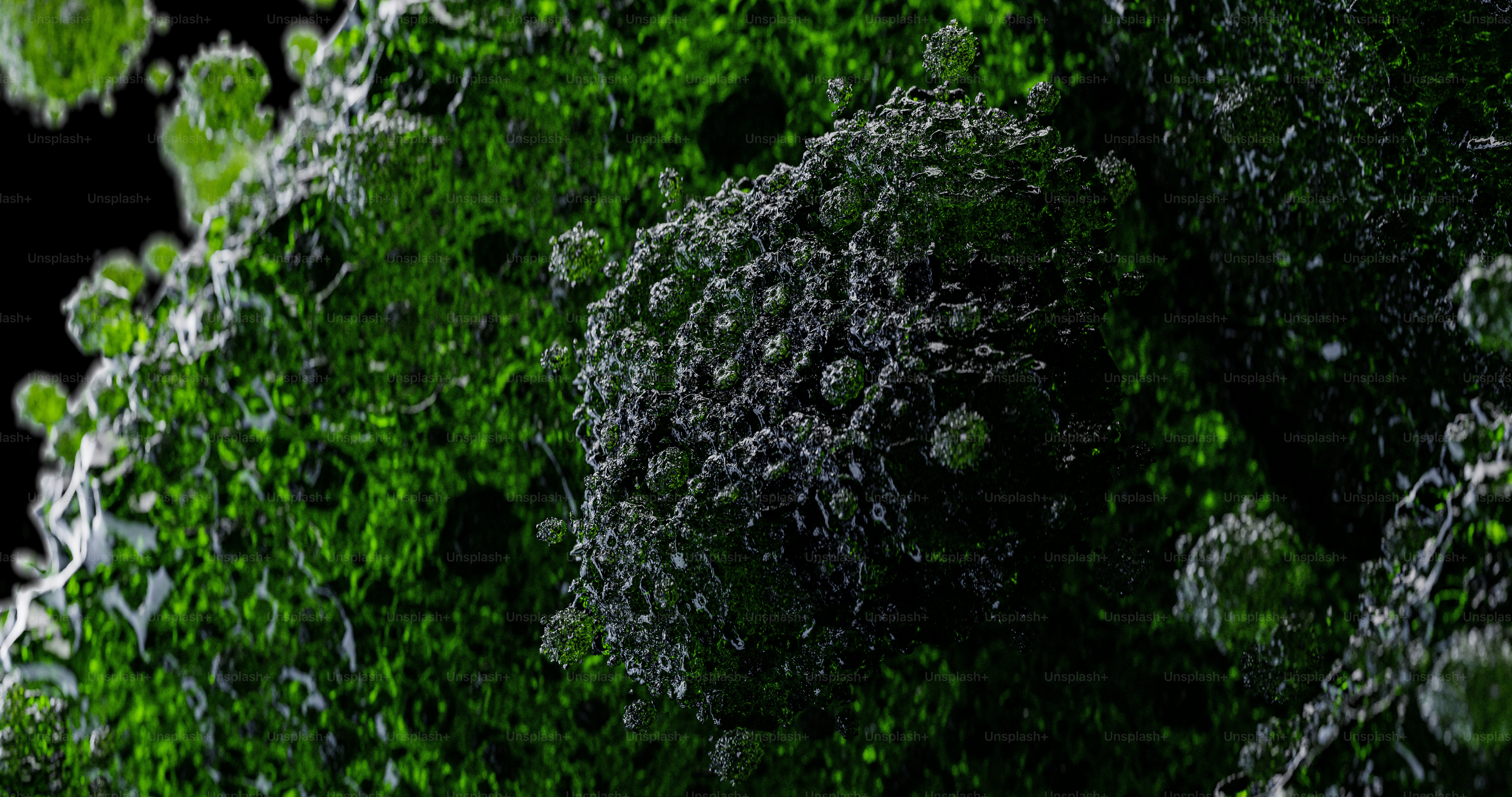 Espermidina: Fuente de Energía y Longevidad | Blog EonLifex