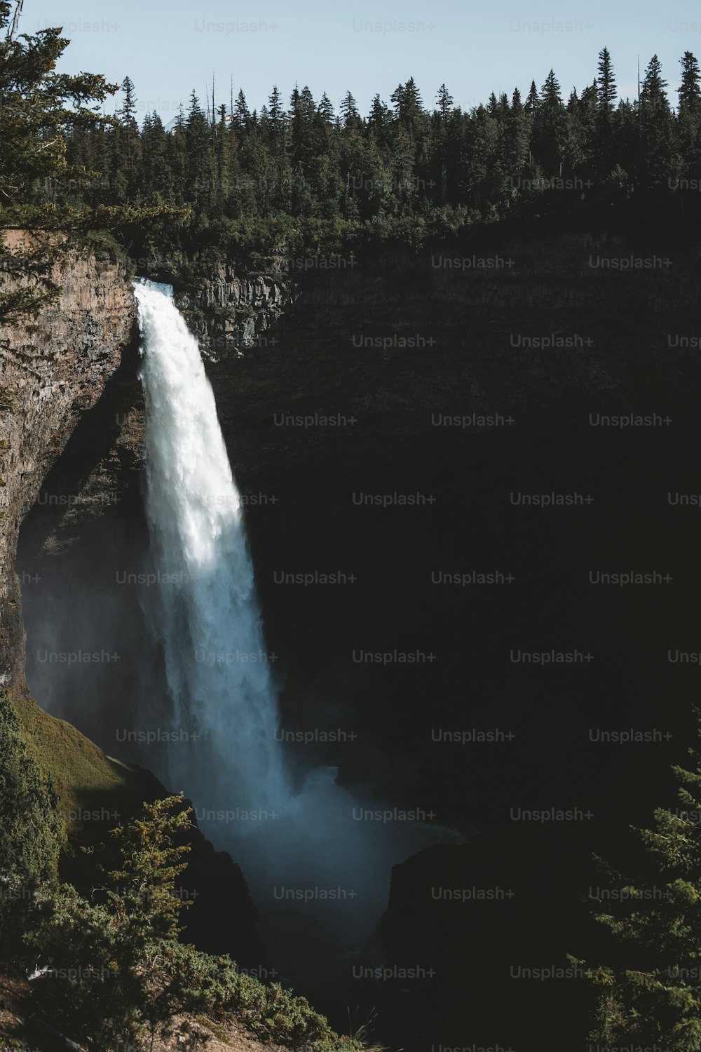 a waterfall in a forest