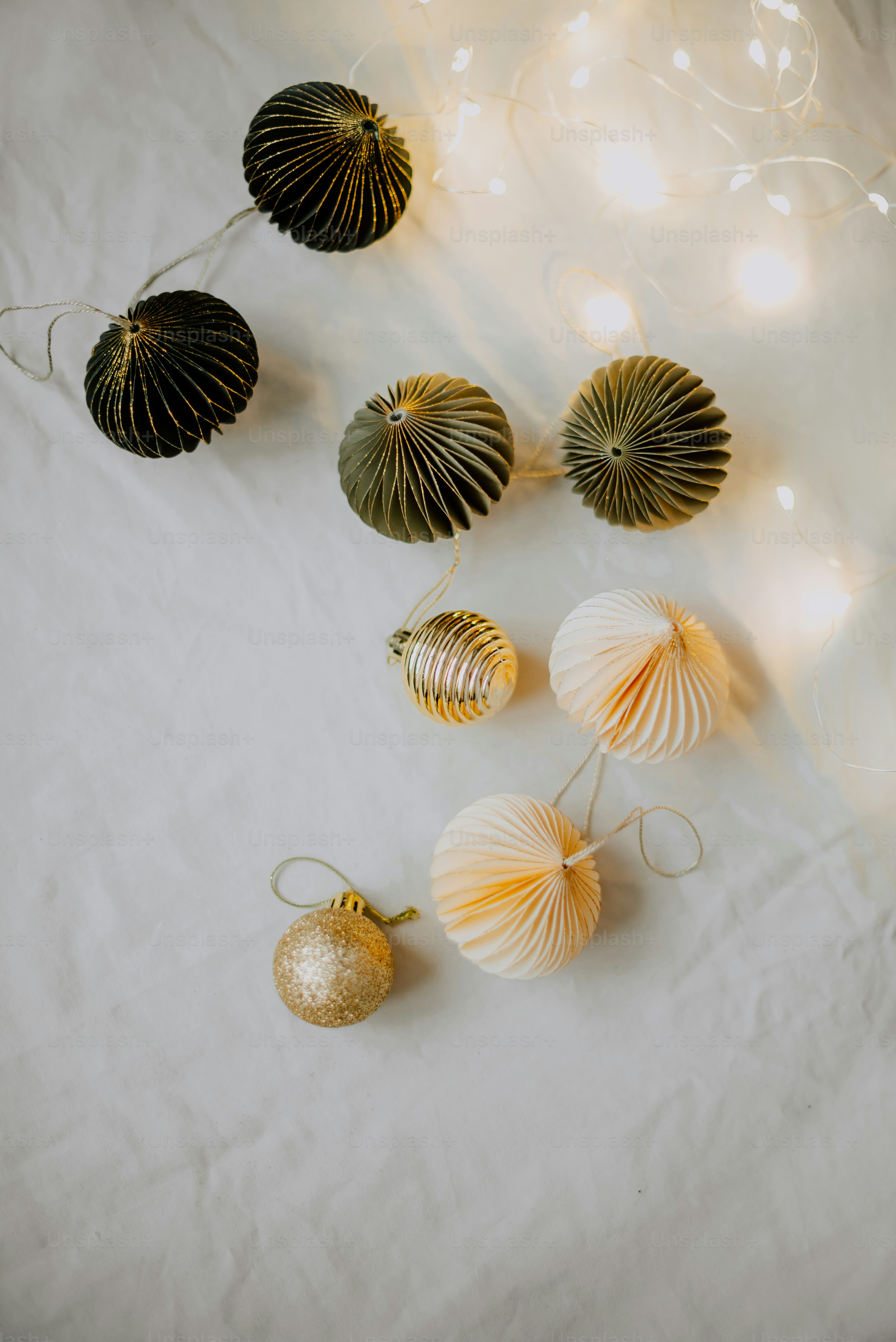 タンポポのグループ