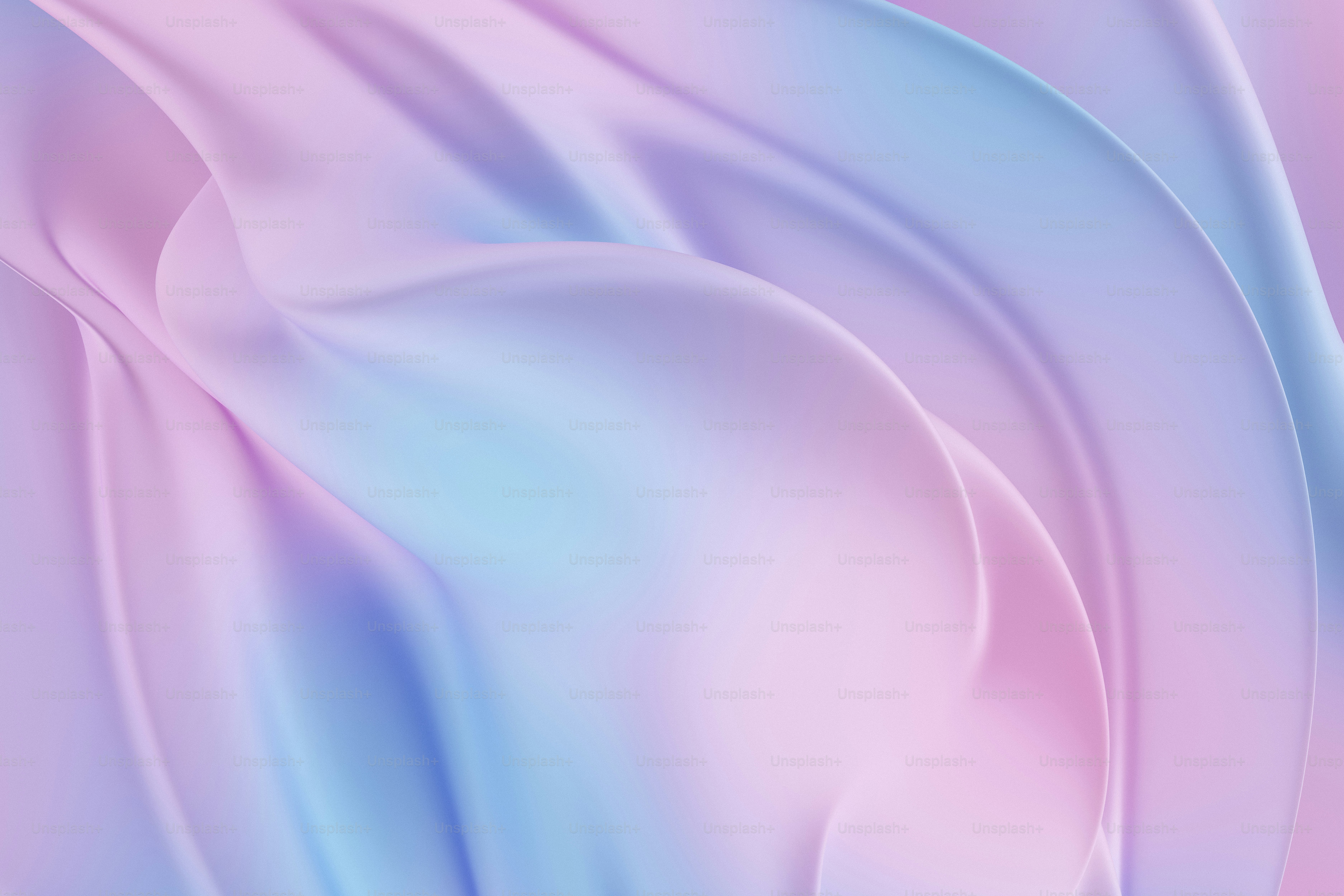 un primo piano di un fiore viola