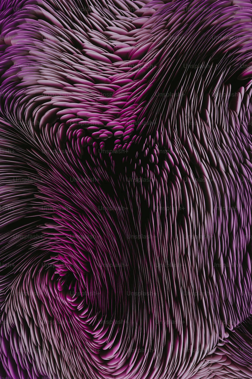 a close up of a purple and black feather