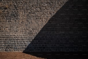 l’ombre d’une personne sur un mur de briques
