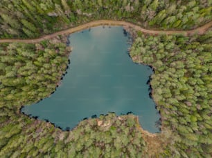 a body of water surrounded by trees