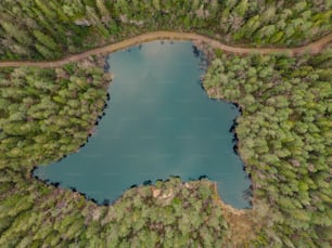 un plan d’eau entouré d’arbres