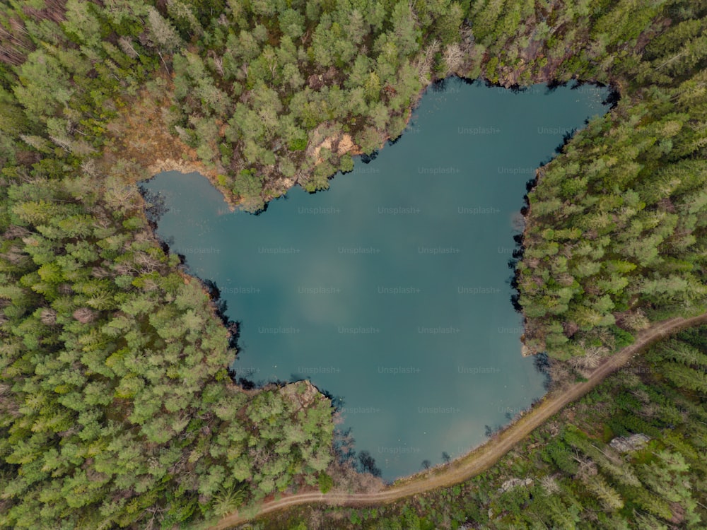 a river flowing through a forest