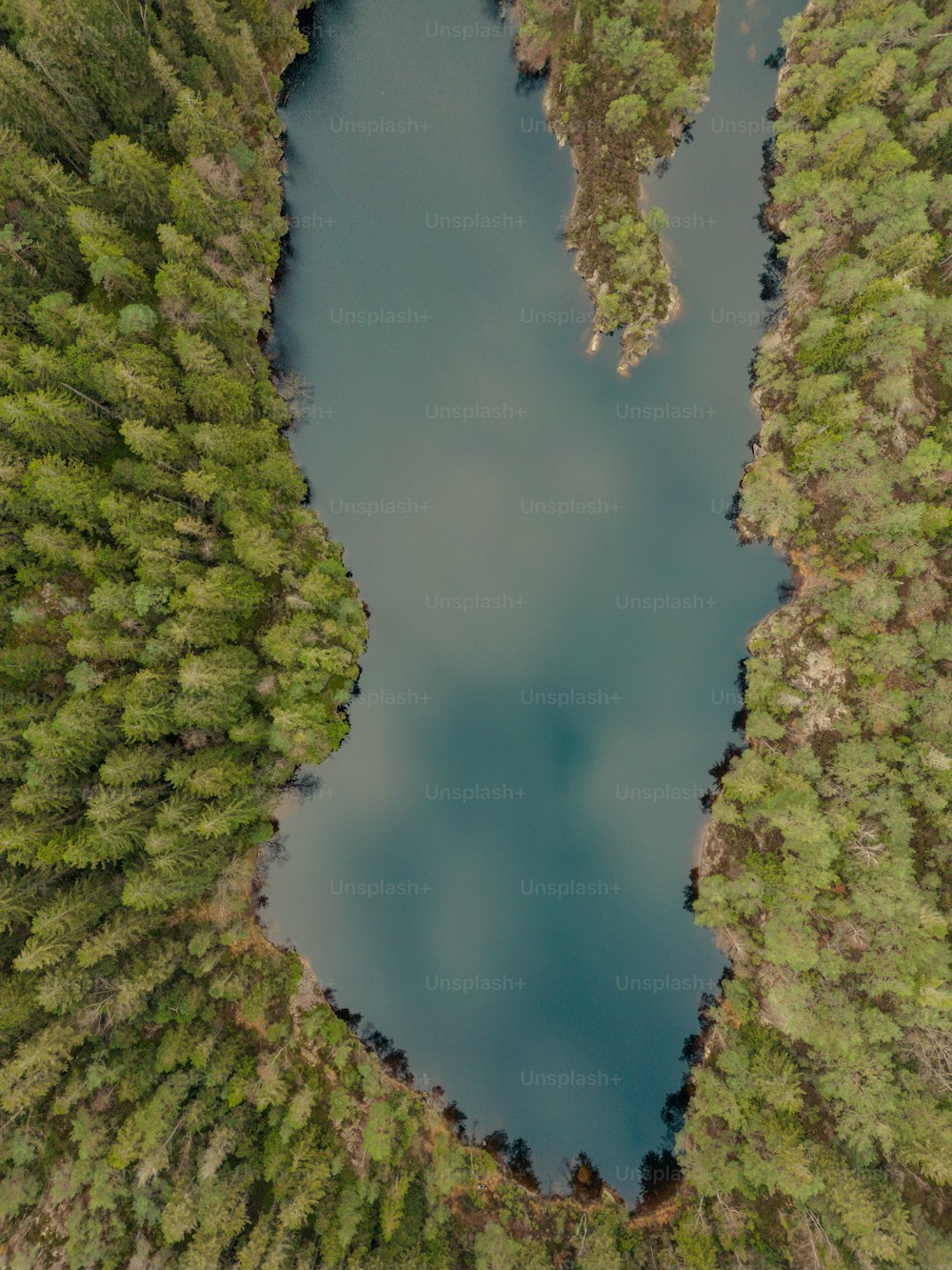 Ein Fluss, umgeben von Bäumen