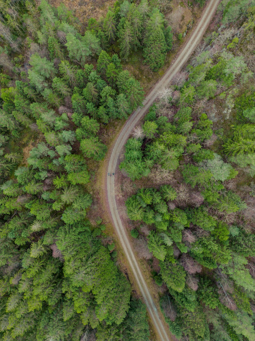 a winding road through a forest