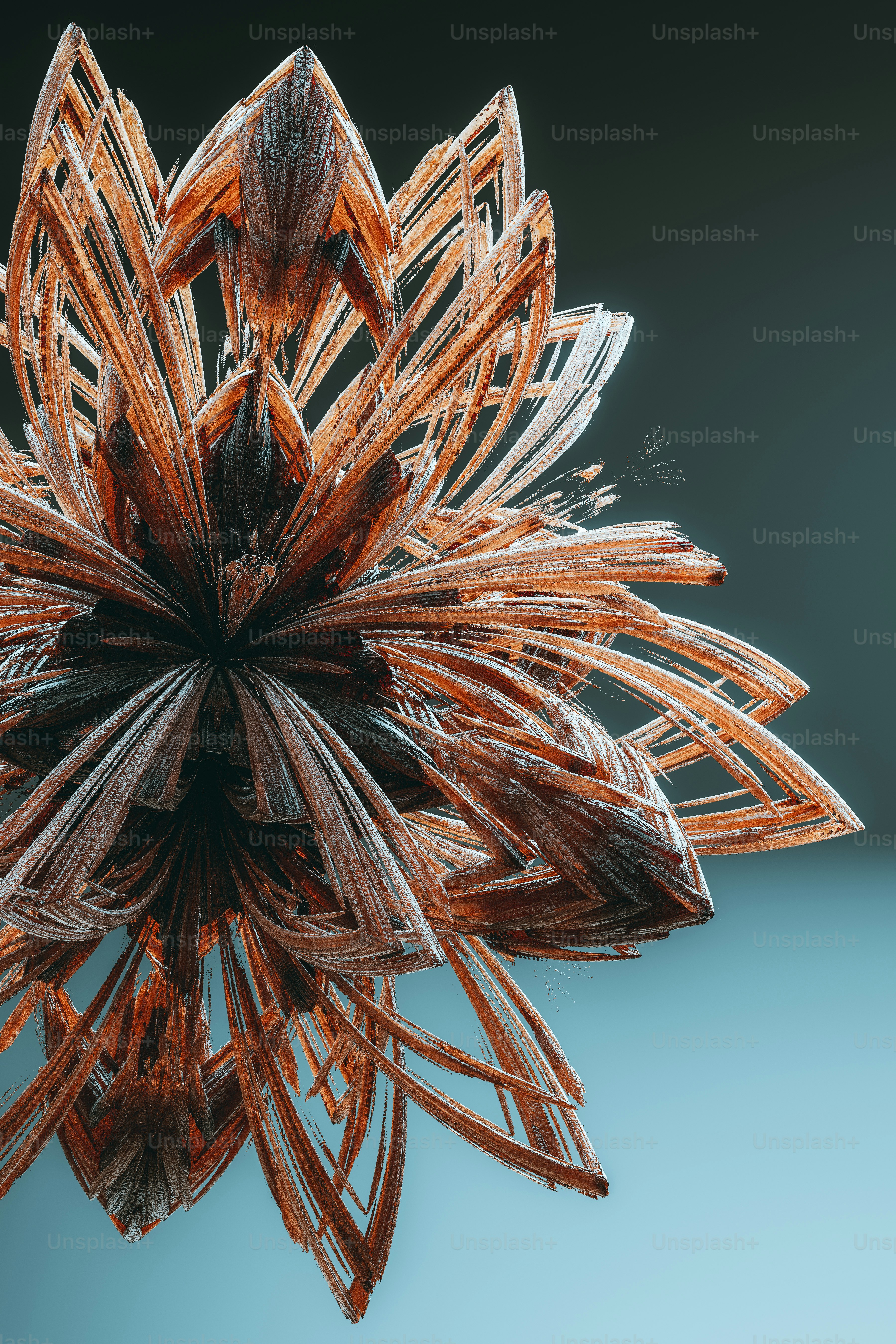 A close-up of a spider photo – Pattern Image on Unsplash