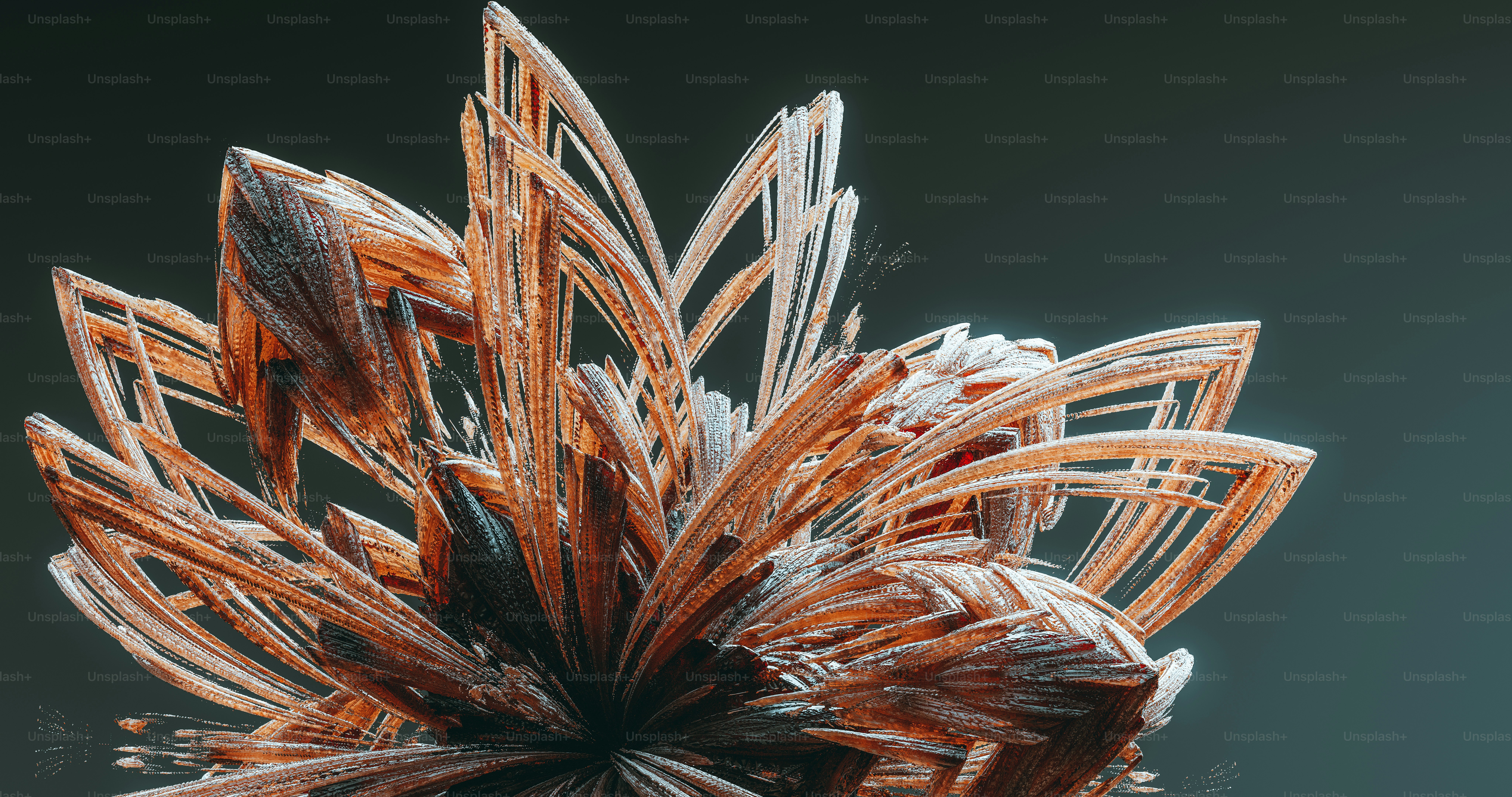 a close-up of a spider