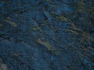 Una zona rocosa con grietas