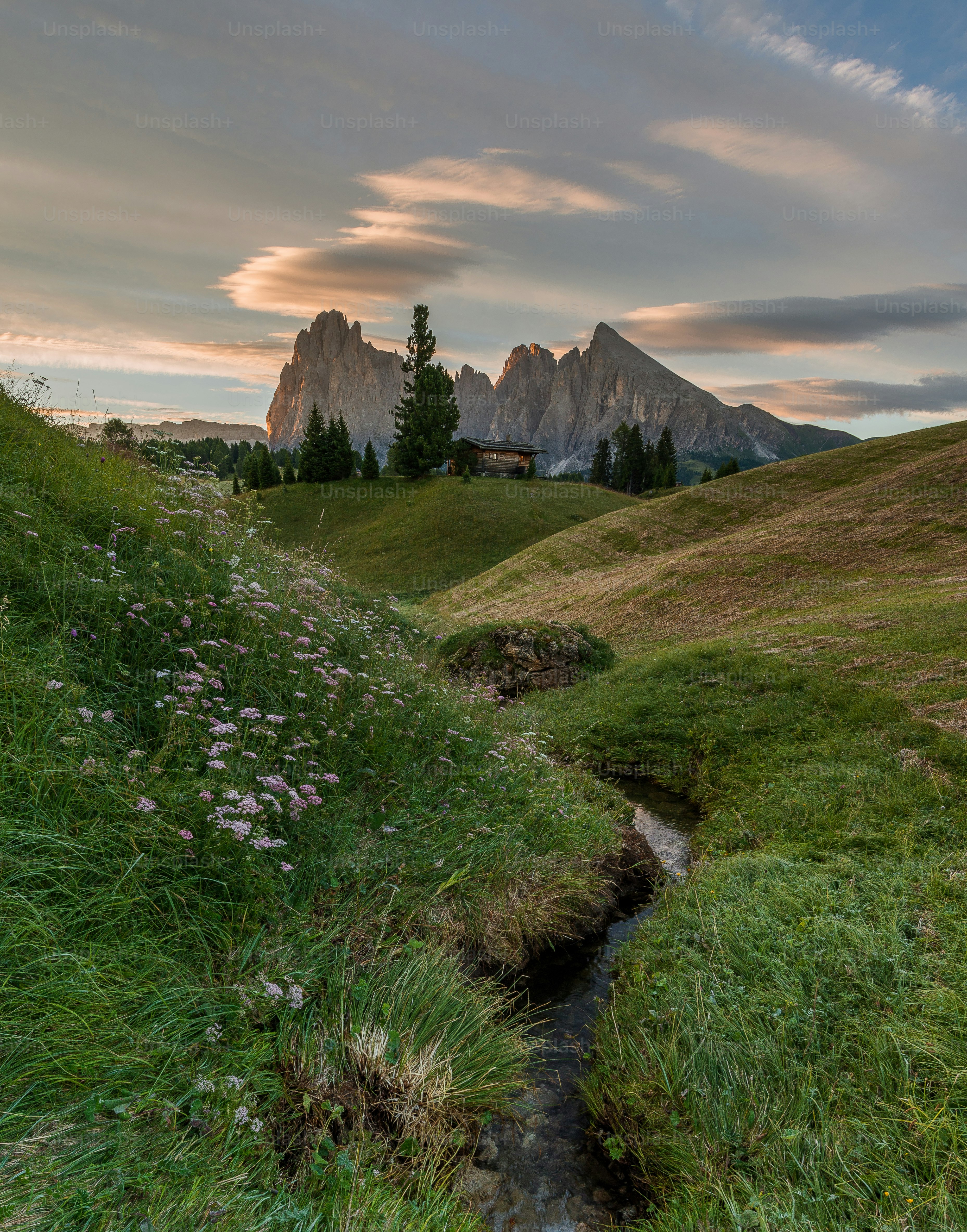 a stream running through a grassy area with a mountain in the background