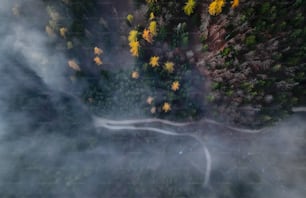 a waterfall with yellow flowers