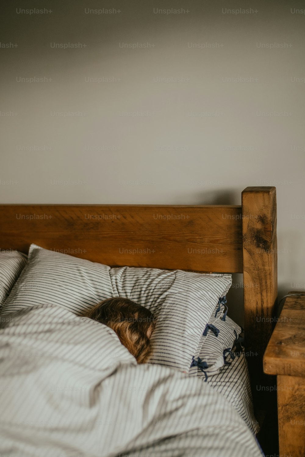 Eine Katze liegt auf einem Bett