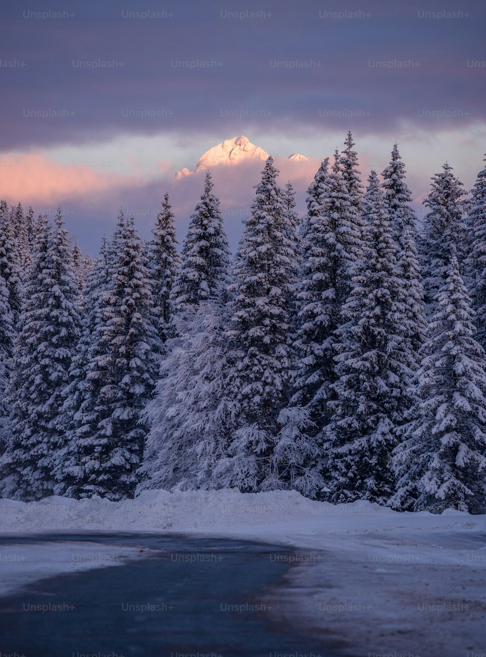 a snowy forest with a pink and purple sky